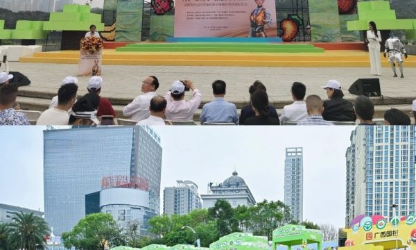 南宁北海商会企业科技破局！灵犀智界AI大管家重磅落地开启智慧人居新时代